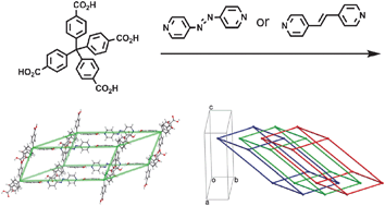 Graphical abstract: Construction of 3-fold interpenetrated pcu organic frameworks from methanetetrabenzoic acid with zigzag bipyridines