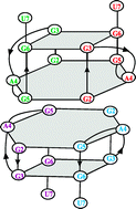 Graphical abstract: NMR spectroscopy and kinetic studies of the quadruplex forming RNA r(UGGAGGU)