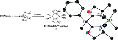 Graphical abstract: Bis(oxazolinyl)phenylborane: A Lewis acid-containing ligand for methide abstraction-based coordination to aluminum(III)