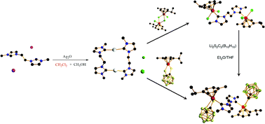 Graphical abstract: Synthesis, structure and transmetalation of N-heterocyclic carbene complex of silver. Evidence of halogen exchange during the synthetic process