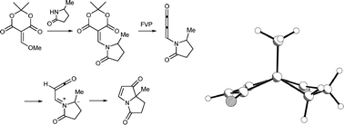 Graphical abstract: Synthetic routes to pyrrolizine-1,5-dione derivatives by flash vacuum pyrolysis of amidomethylene derivatives of Meldrum's acid