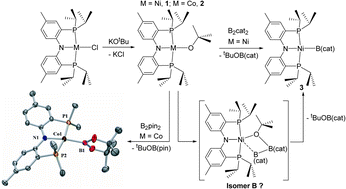 Graphical abstract: Facile entry to 3d late transition metal boryl complexes
