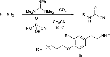 Graphical abstract: Synthesis of cyanoformamides from primary amines and carbon dioxide under mild conditions. Synthesis of ceratinamine