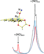 Graphical abstract: Nitric-oxide photorelease and photoinduced linkage isomerism on solid [Ru(NO)(terpy)(L)]BPh4 (L = glycolate dianion)