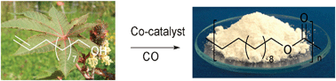 Graphical abstract: Renewable resource-based poly(dodecyloate) by carbonylation polymerization