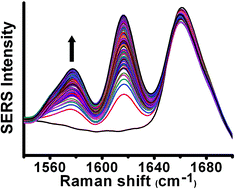 Graphical abstract: Probing the kinetics of ligand exchange on colloidal gold nanoparticles by surface-enhanced Raman scattering