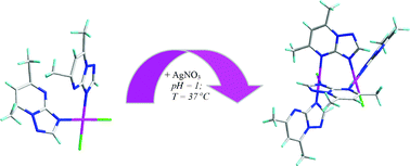 Graphical abstract: Mono- and dinuclear platinum(II) compounds with 5,7-dimethyl-1,2,4-triazolo[1,5-a]pyrimidine. Structure, cytotoxic activity and reaction with 5′-GMP