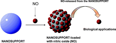 Graphical abstract: Nitric oxide-releasing vehicles for biomedical applications