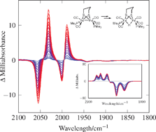 Graphical abstract: Protonation of a subsite analogue of [FeFe]-hydrogenase: mechanism of a deceptively simple reaction revealed by time-resolved IR spectroscopy