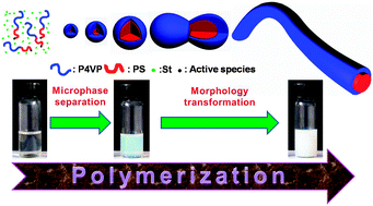 Graphical abstract: One-pot synthesis of nanomaterials via RAFT polymerization induced self-assembly and morphology transition