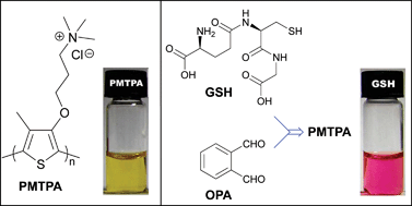 Graphical abstract: Conjugated polyelectrolyte as a colorimetric and fluorescent probe for the detection of glutathione