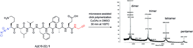 Graphical abstract: Microwave-assisted click polymerization for the synthesis of Aβ(16–22) cyclic oligomers and their self-assembly into polymorphous aggregates