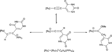 Graphical abstract: Ruthenium alkynyl, carbene and alkenyl complexes containing pendant uracil groups: an investigation into the formation of alkenyl-phosphonio complexes