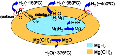 Graphical abstract: Reaction pathways for hydrogen desorption from magnesium hydride/hydroxide composites: bulk and interface effects