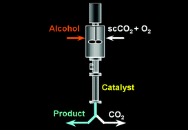 Graphical abstract: Continuous heterogeneous catalytic oxidation of primary and secondary alcohols in scCO2