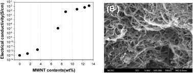 Graphical abstract: Physical properties of nanocomposites prepared by in situpolymerization of high-density polyethylene on multiwalled carbon nanotubes