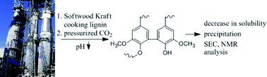 Graphical abstract: Characterization of CO2 precipitated Kraft lignin to promote its utilization