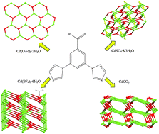 Graphical abstract: Cadmium(II) complexes with 3,5-di(1H-imidazol-1-yl)benzoate: topological and structural diversity tuned by counteranions