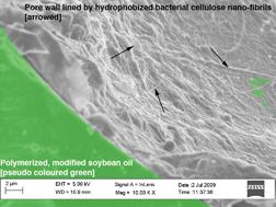 Graphical abstract: Renewable nanocomposite polymer foams synthesized from Pickering emulsion templates