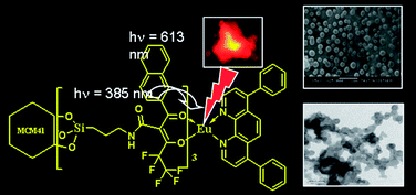 Graphical abstract: Highly luminescent europium(iii) complexes containing organosilyl 4,4,5,5,5-pentafluoro-1-(naphthalen-2-yl)pentane-1,3-dionate ligands grafted on silica nanoparticles