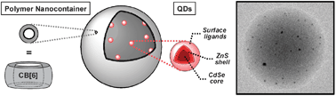 Graphical abstract: Photoluminescent quantum dot–cucurbituril nanocomposites