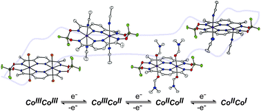 Graphical abstract: Redox rich dicobalt macrocycles as templates for multi-electron transformations