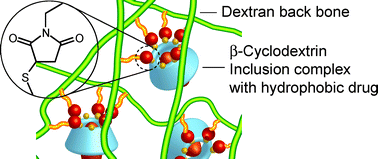 Graphical abstract: Cyclodextrin–dextran based in situ hydrogel formation: a carrier for hydrophobic drugs