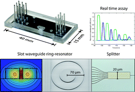 Graphical abstract: A packaged optical slot-waveguide ring resonator sensor array for multiplex label-free assays in labs-on-chips