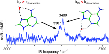 Graphical abstract: The structure of adenine monohydrates studied by femtosecond multiphoton ionization detected IR spectroscopy and quantum chemical calculations