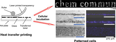Graphical abstract: Laser printing mediated cell patterning