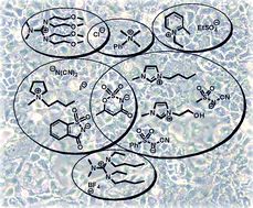 Graphical abstract: Toxicological evaluation on human colon carcinoma cell line (CaCo-2) of ionic liquids based on imidazolium, guanidinium, ammonium, phosphonium, pyridinium and pyrrolidinium cations
