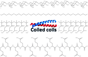 Graphical abstract: Coiled coils: attractive protein folding motifs for the fabrication of self-assembled, responsive and bioactive materials