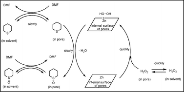 Graphical abstract: Homogeneous and heterogeneous catalytic oxidation of sulfides by H2O2 over zinc(ii) compounds