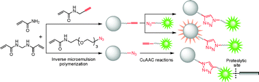 Graphical abstract: A facile method to clickable sensing polymeric nanoparticles