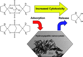 Graphical abstract: Smart delivery of antitumoral platinum complexes from biomimetic hydroxyapatite nanocrystals