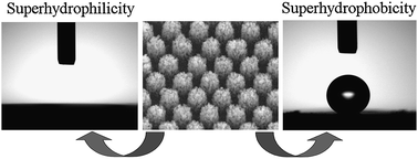 Graphical abstract: Ordered Co3O4 hierarchical nanorod arrays: tunable superhydrophilicity without UV irradiation and transition to superhydrophobicity