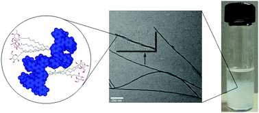 Graphical abstract: Synthesis, characterization, and self-assembled nanofibers of carbohydrate-functionalized mono- and di(2,2′:6′,2″-terpyridinyl)arenes