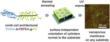 Graphical abstract: Surface-independent vertical orientation of cylindrical microdomains in block copolymer thin films directed by comb-coil architecture