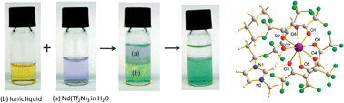 Graphical abstract: Hydrophobic ionic liquids with strongly coordinating anions