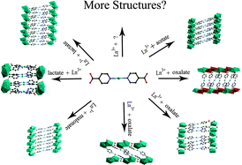 Graphical abstract: Rationally designed and controlled syntheses of different series of 4d–4f heterometallic coordination frameworks based on lanthanide carboxylate and Ag(IN)2 substructures