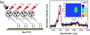 Graphical abstract: Endohedral metallofullerenes in self-assembled monolayers