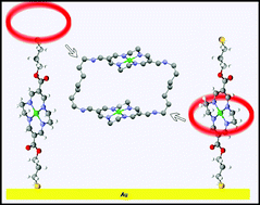 Graphical abstract: Interactions of dithiolated tetraazamacrocyclic copper(ii) and nickel(ii) complexes self-assembled on gold electrodes with π-electron deficient molecules in solution