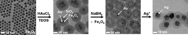 Graphical abstract: Reductive dissolution of Fe3O4 facilitated by the Au domain of an Fe3O4/Au hybrid nanocrystal: formation of a nanorattle structure composed of a hollow porous silica nanoshell and entrapped Au nanocrystal