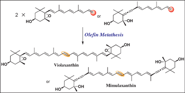 Graphical abstract: Olefin metathesis in carotenoid synthesis