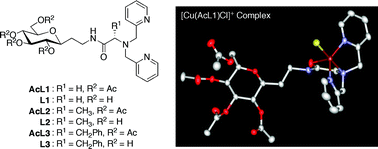 Graphical abstract: Copper(ii) and zinc(ii) complexes with C-glycoside-pendant dipicolylamine (DPA)-amino acid conjugates