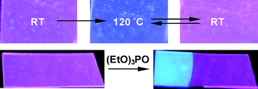 Graphical abstract: Stimuli-responsive europium-containing metallo-supramolecular polymers
