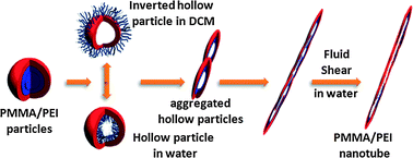 Graphical abstract: Formation of nanostructured materials using inexpensive hollow particles of amphiphilic graft copolymers as building blocks: 1. insight into the mechanism of nanotube formation