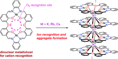 Graphical abstract: Highly efficient regulation of cation recognition and promotion of self-assembly by metalation of a macrocyclic bis(N2O2) ligand with nickel(ii)