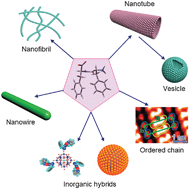 Graphical abstract: Self-assembly and application of diphenylalanine-based nanostructures