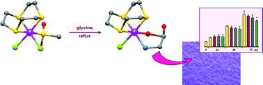 Graphical abstract: A glycine ruthenium trithiacyclononane complex and its molecular encapsulation using cyclodextrins